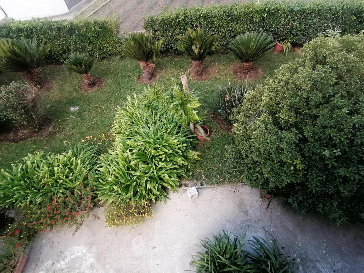 Cilento *